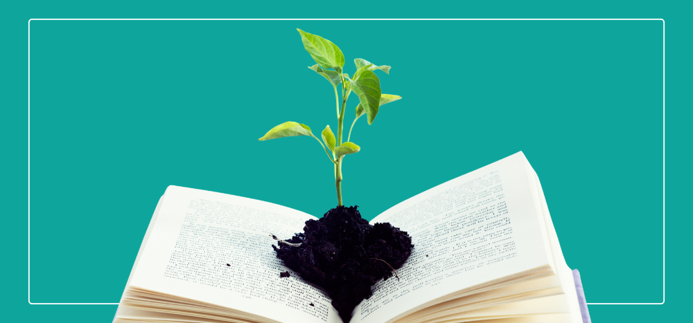 Learn practical, NZ-based social media marketing for small businesses. Build clarity, confidence, and real results.